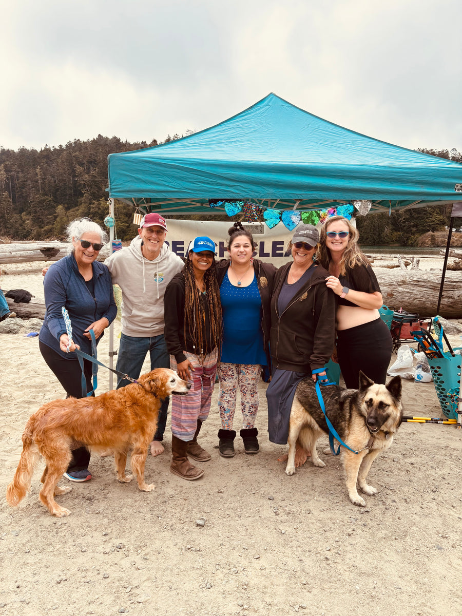 Mendocino Mermaids beach cleanup